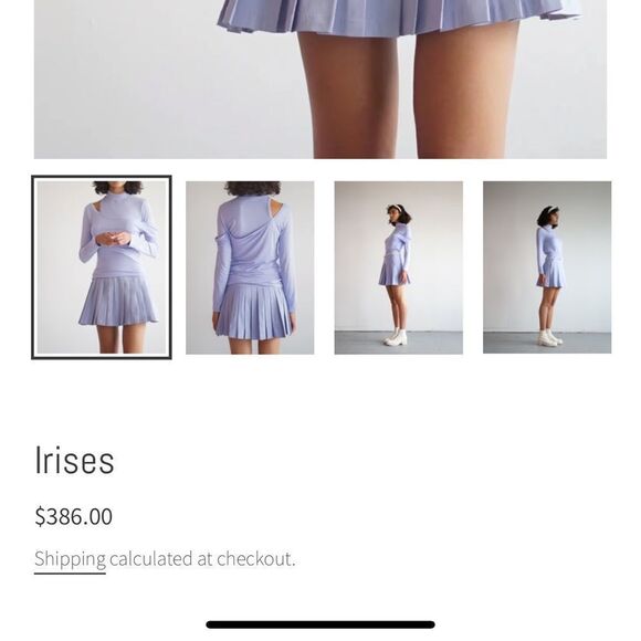 NWT The Waking Insects Pleated Irises Mini Skirt - Picture 5 of 9